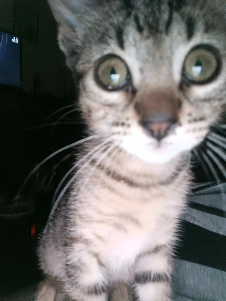 GIF ajouté par Jonathan