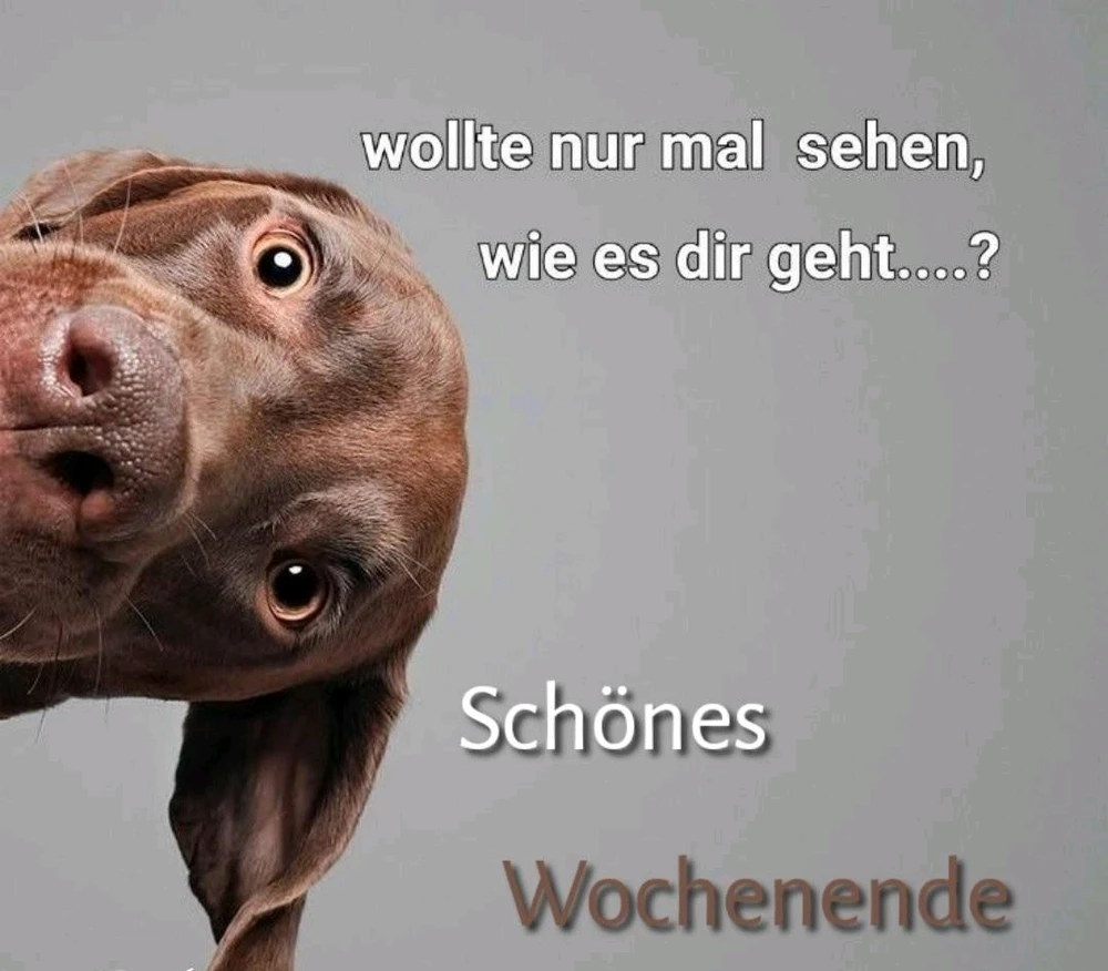 Bild hochgeladen von Sven