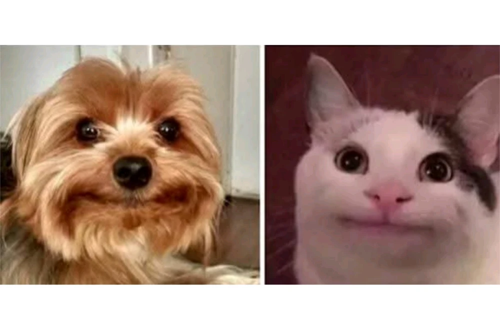 GIF hochgeladen von Doris