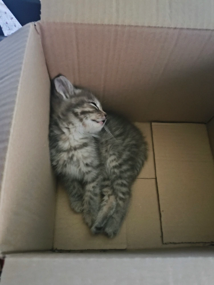 GIF caricata da Francesco