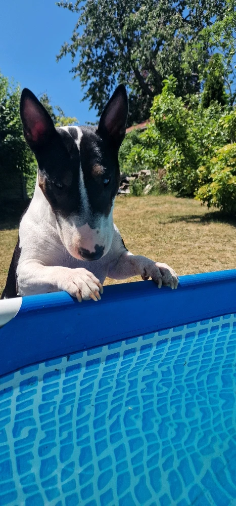 GIF hochgeladen von Micha