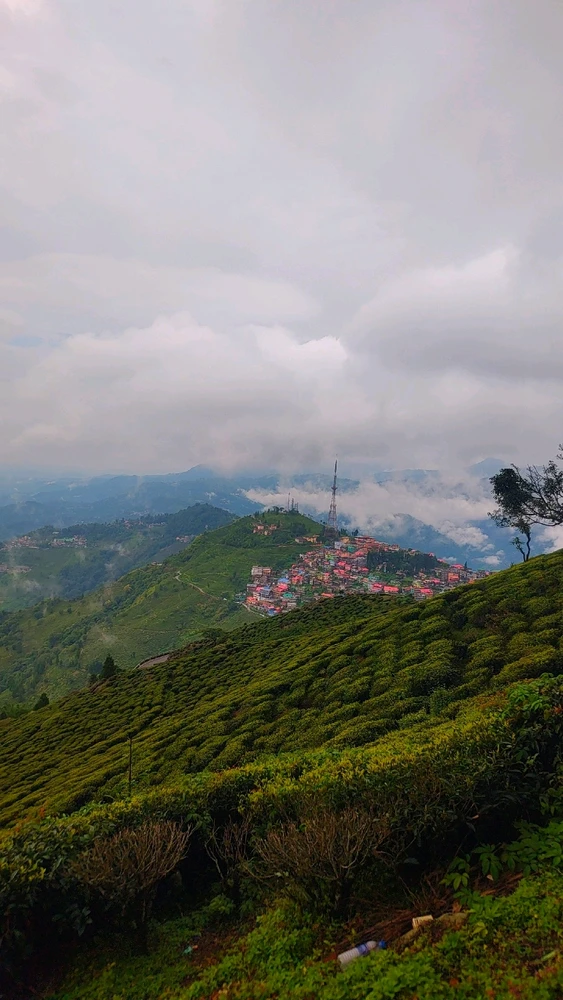 Image uploaded by Dip