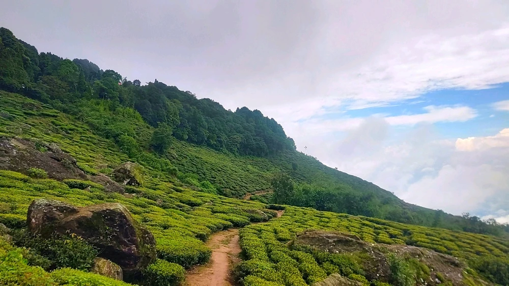 Image uploaded by Dip