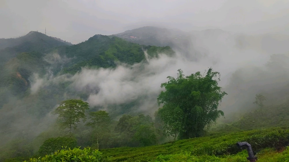 Image uploaded by Dip