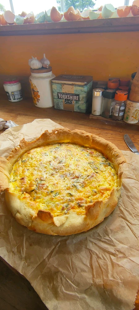 GIF uploaded by James