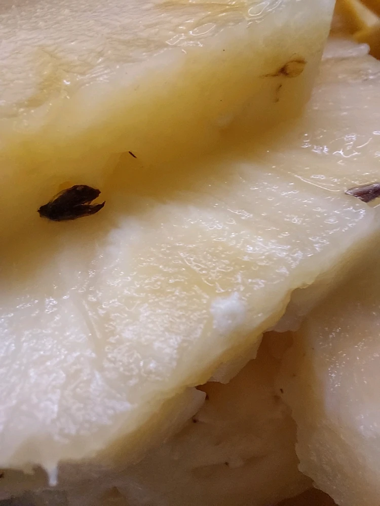 Obrázek nahrál Táňa