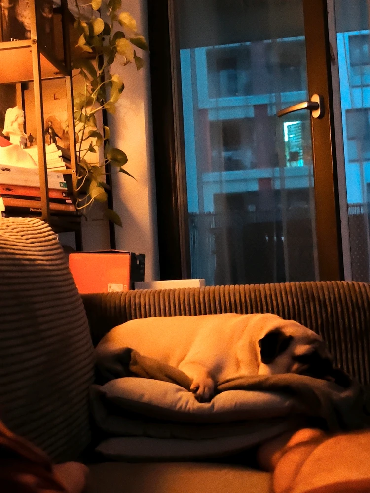 GIF încărcat de Andy