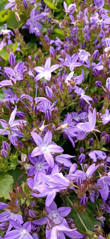 Image uploaded by Eleanor