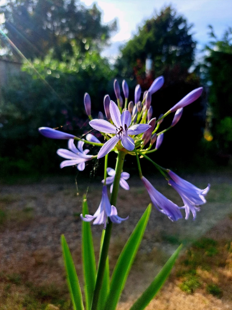 Image uploaded by JD