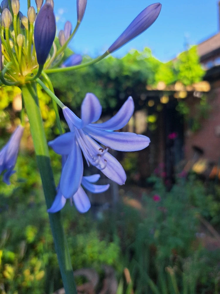 Image uploaded by JD