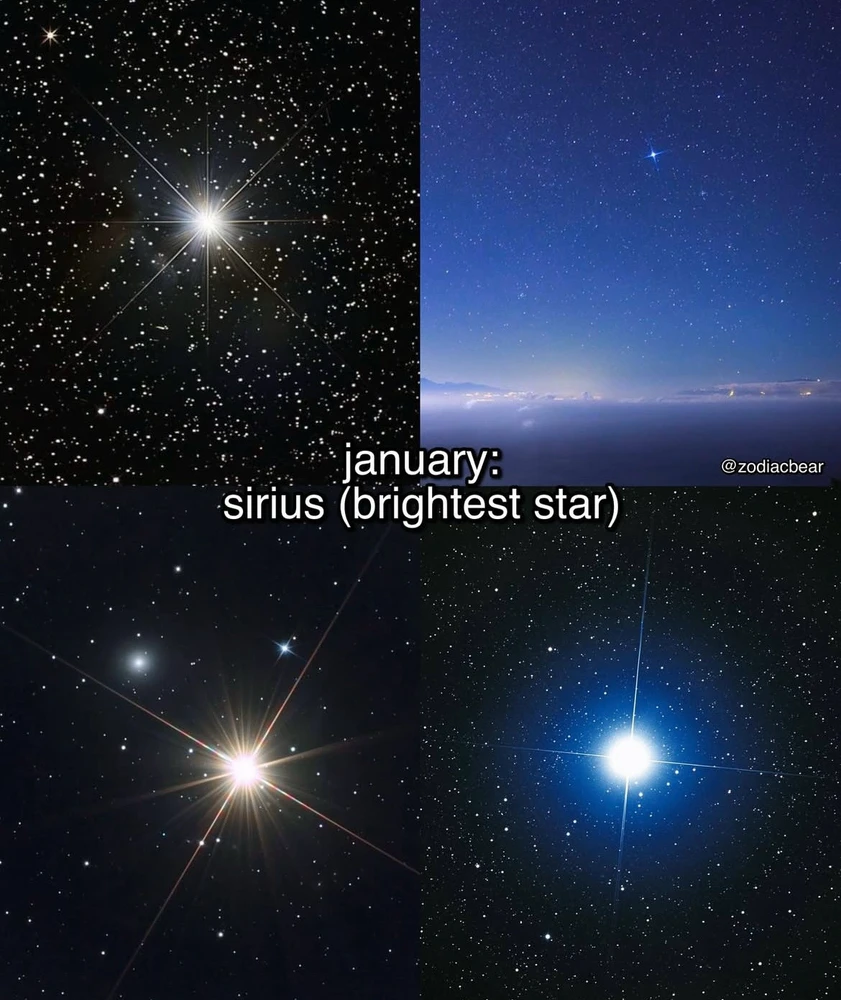 Image uploaded by Olga