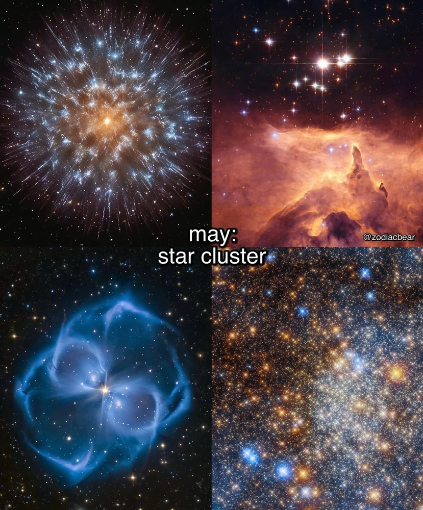 Image uploaded by Olga