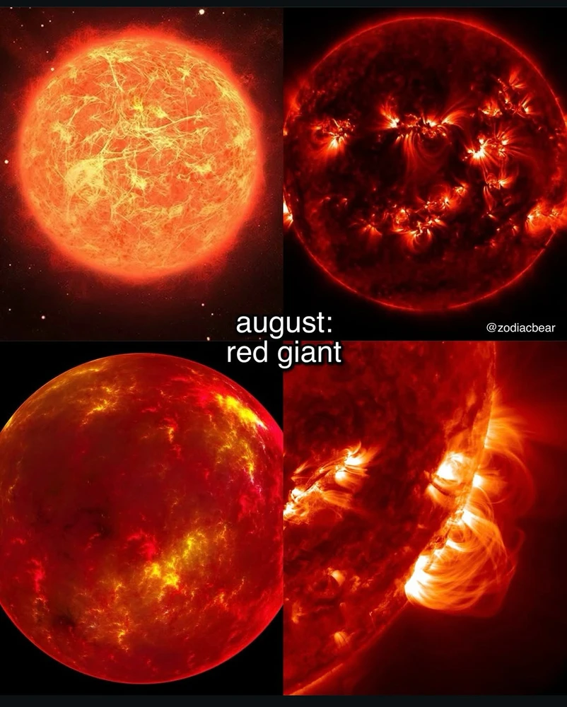 Image uploaded by Olga