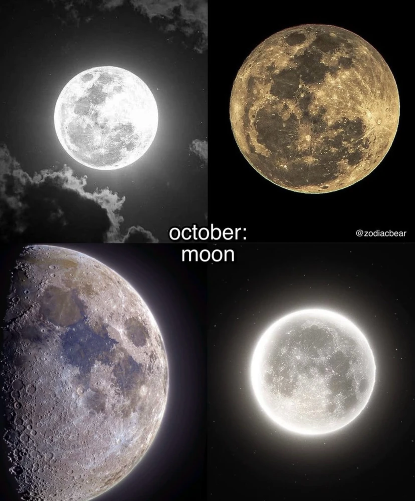 Image uploaded by Olga