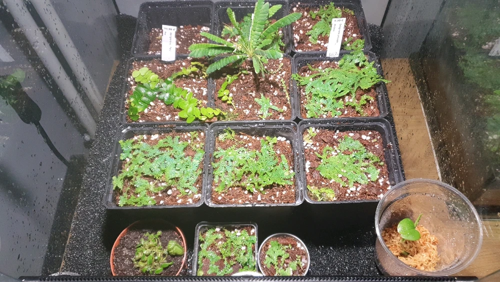 GIF încărcat de Daniel