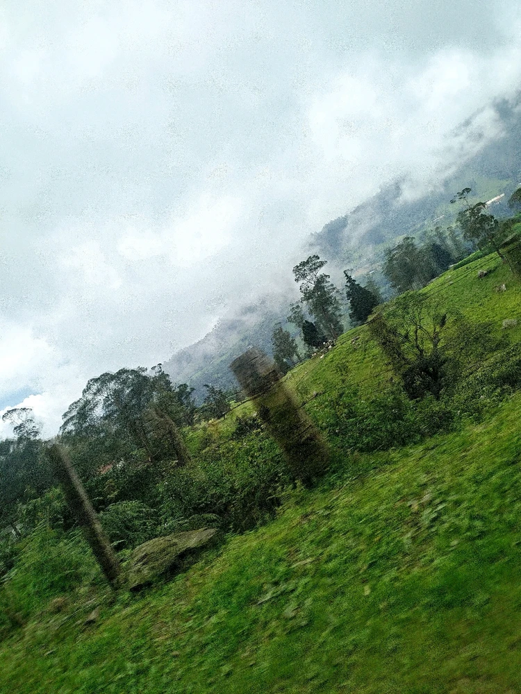 GIF subido por Angel