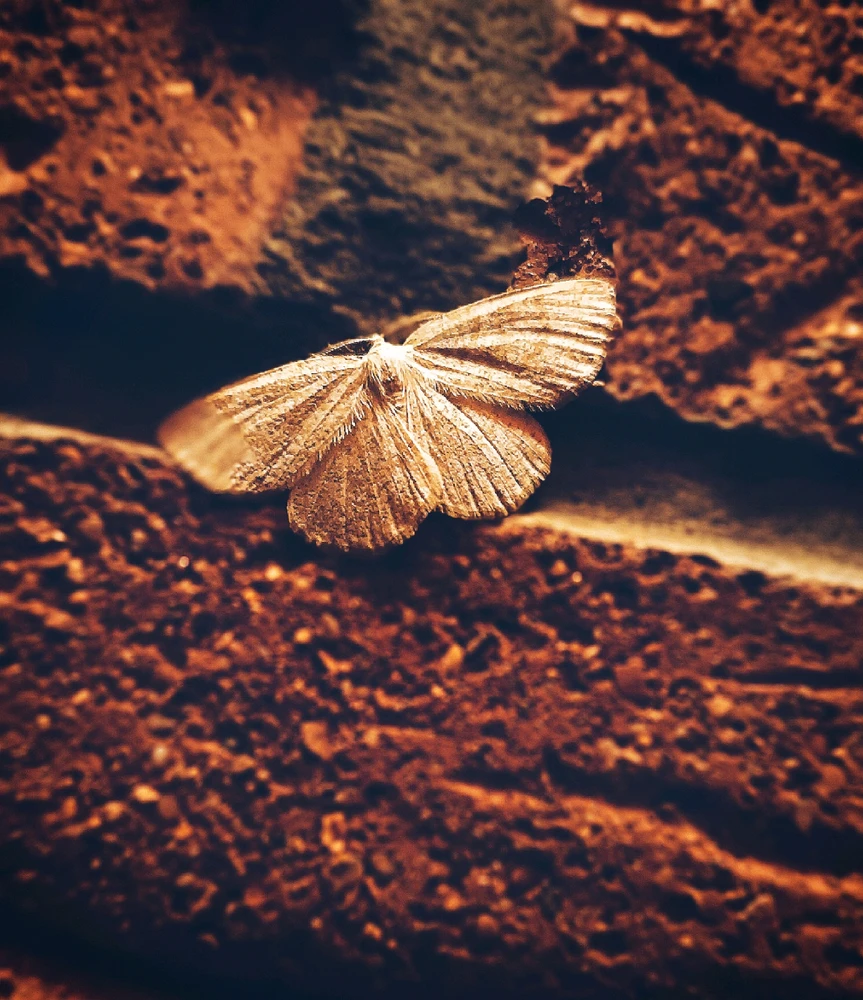 Bild hochgeladen von Dingsda