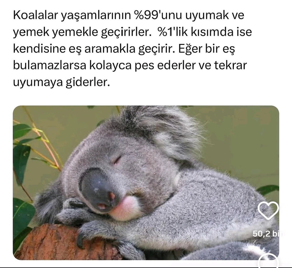 Gözde tarafından yüklenen GIF