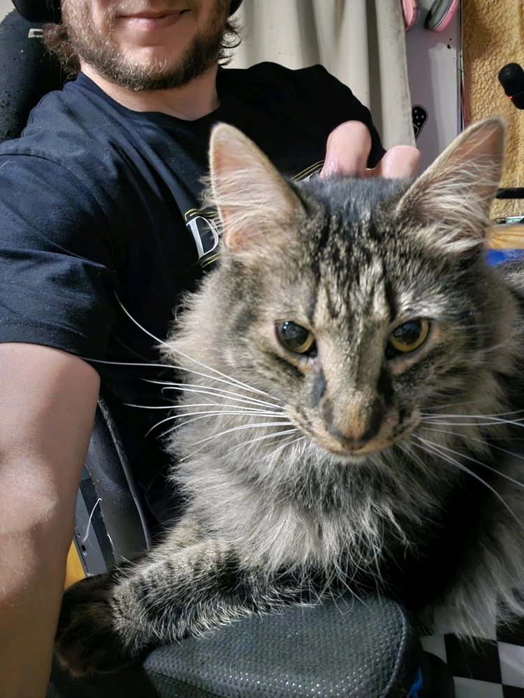 GIF uploaded by Larry