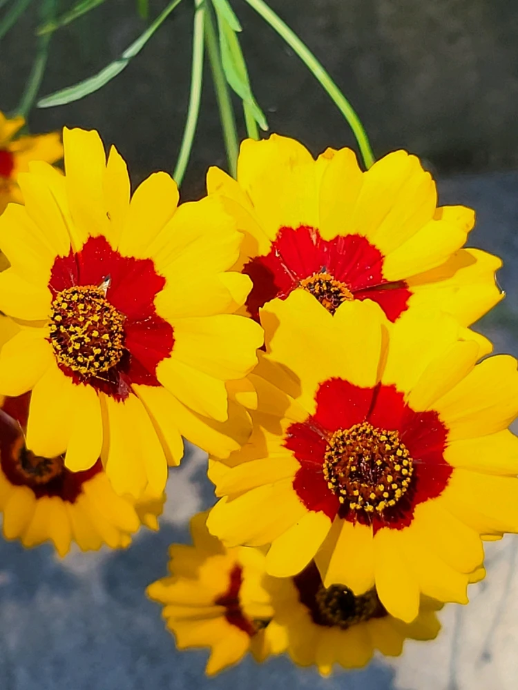 GIF uploaded by David