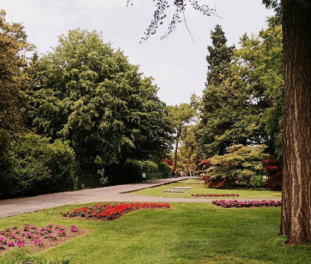 Immagine caricata da Giulio