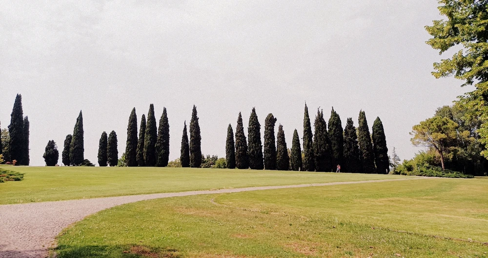 Immagine caricata da Giulio