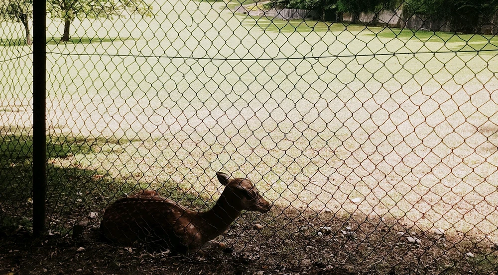 Immagine caricata da Giulio