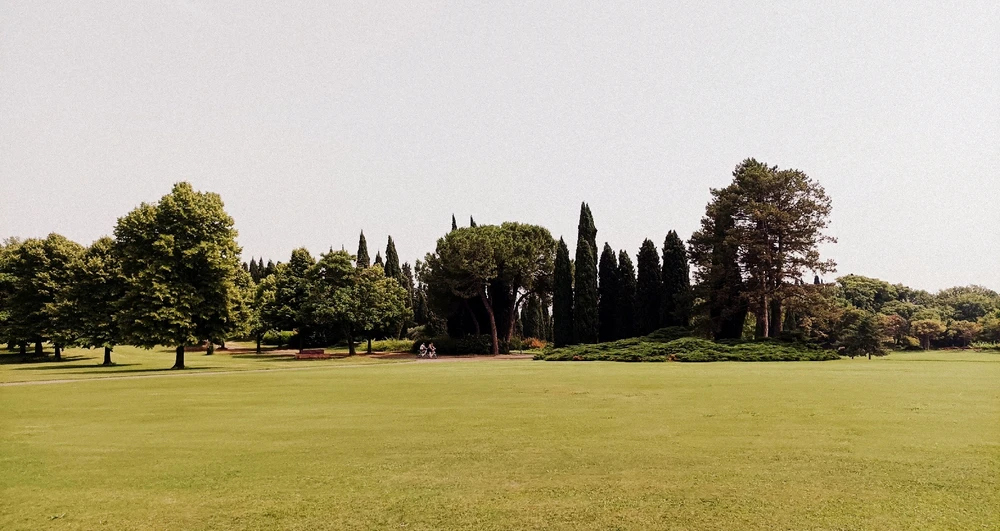 Immagine caricata da Giulio