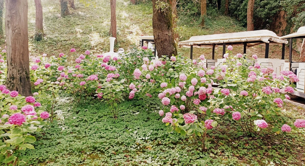 Immagine caricata da Giulio