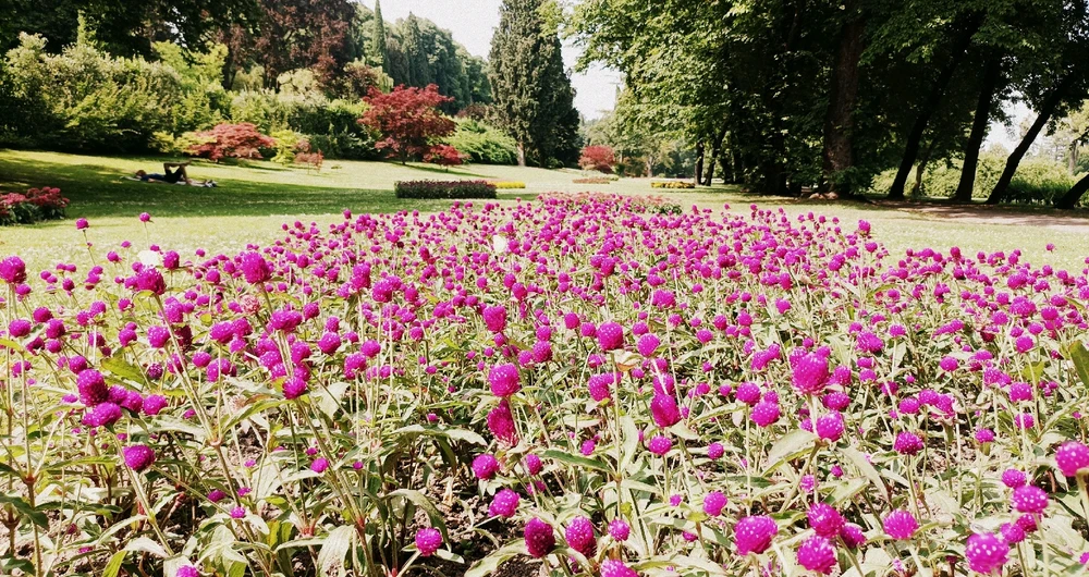 Immagine caricata da Giulio