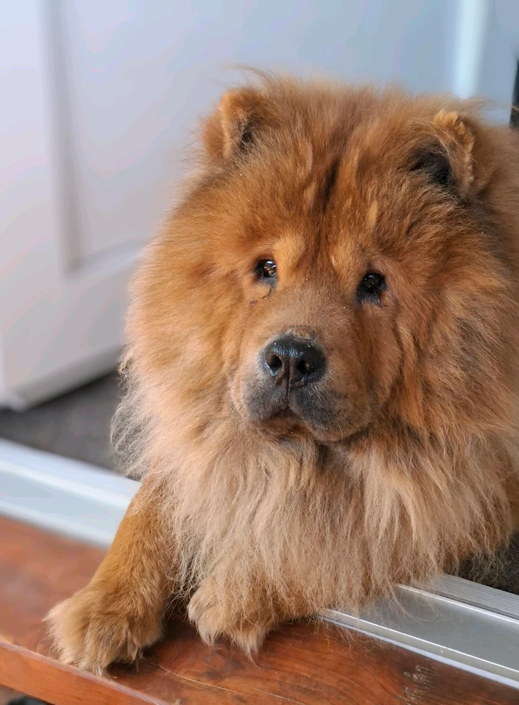 GIF nahrál ©️Iva 🦉