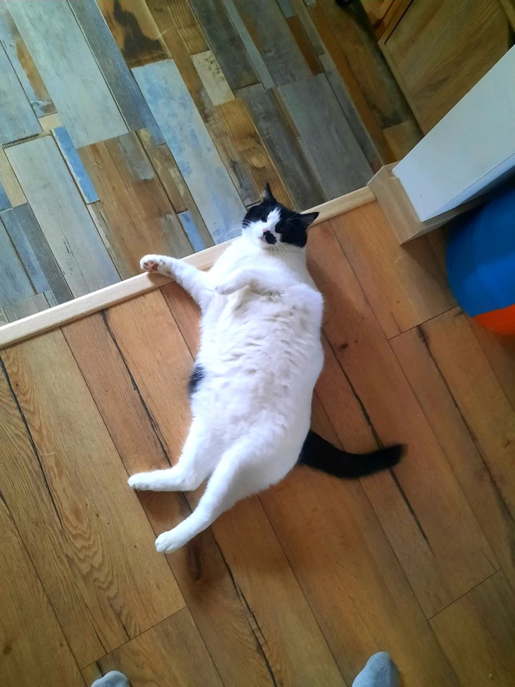 GIF caricata da Matteo