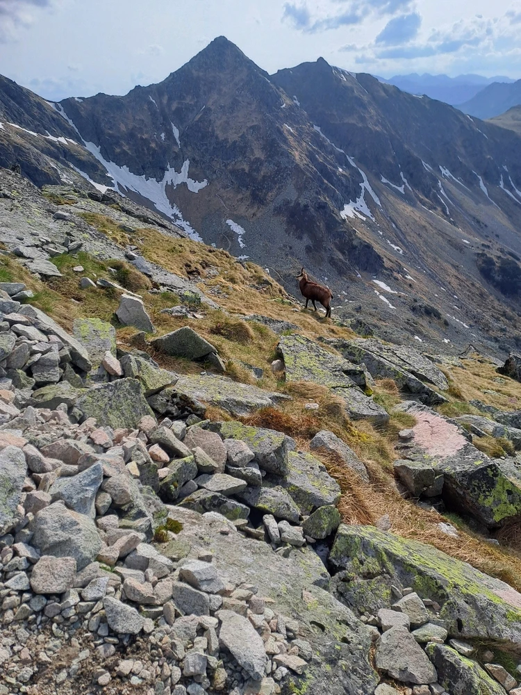 Zdjęcie dodane przez Wojciech
