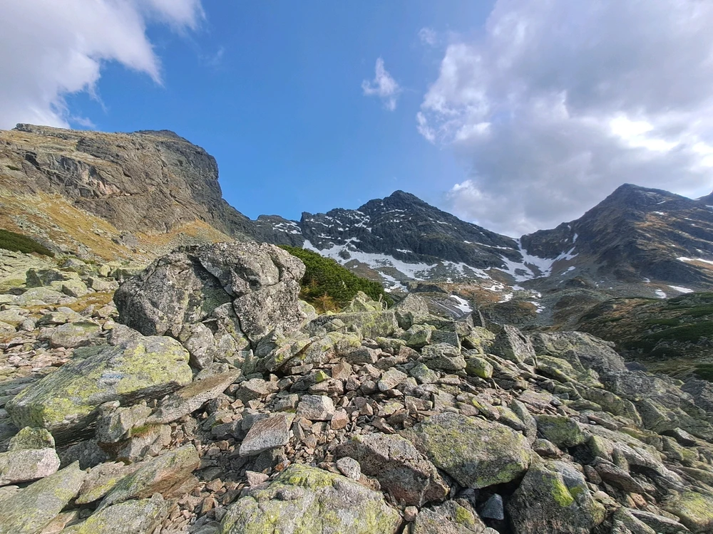 Zdjęcie dodane przez Wojciech