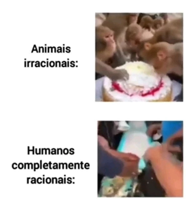 Imagem enviada por Pedro