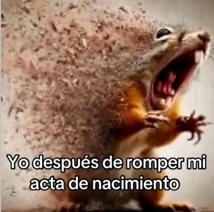 Imagem enviada por Pedro