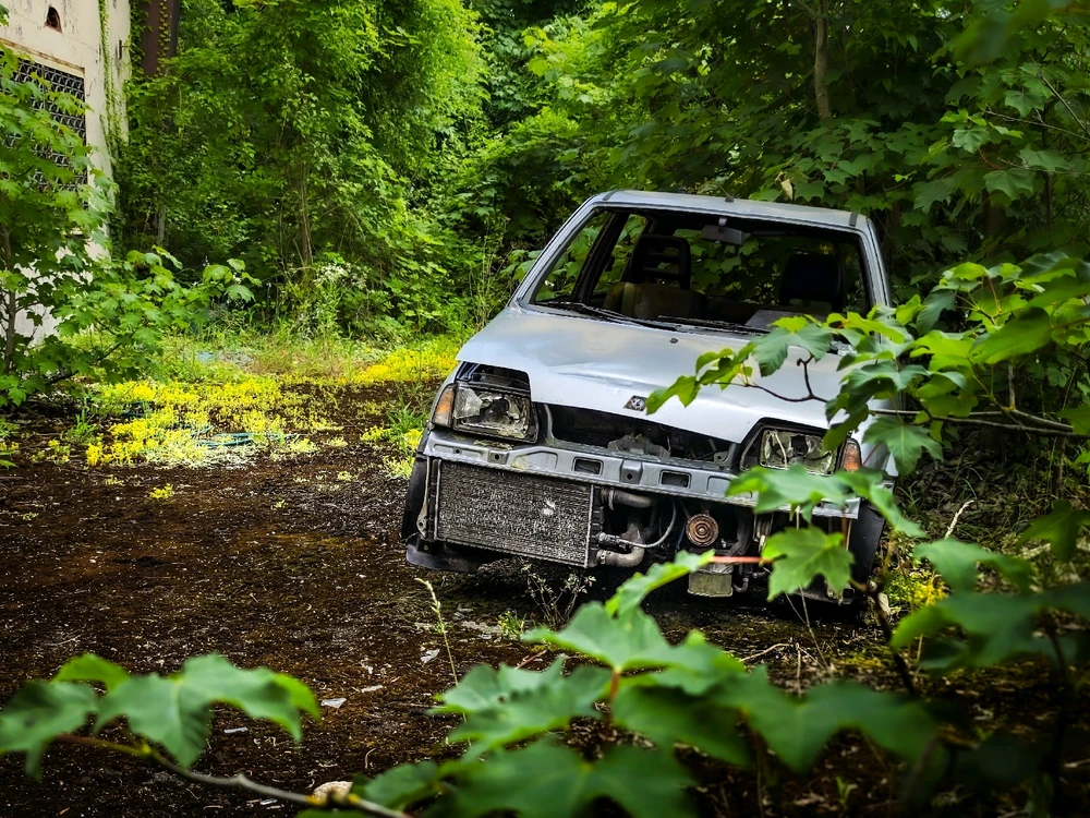 Image ajoutée par Kevin