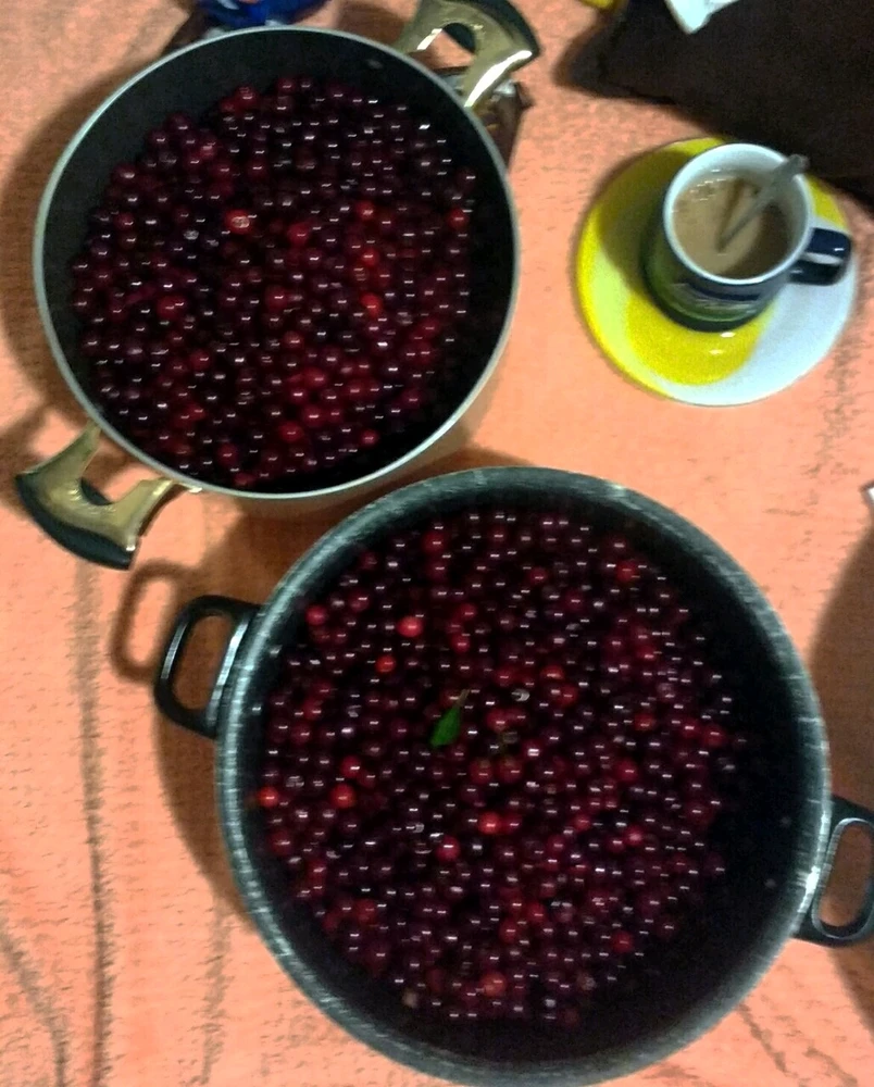 Image uploaded by HESM