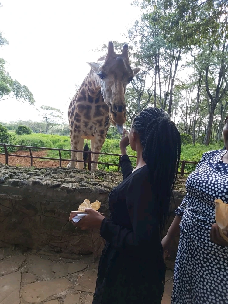 GIF uploaded by Janet