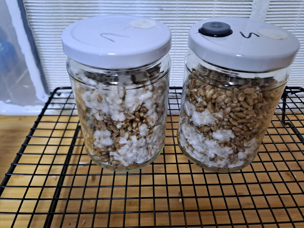 Pilz update Nr4 + Klonen