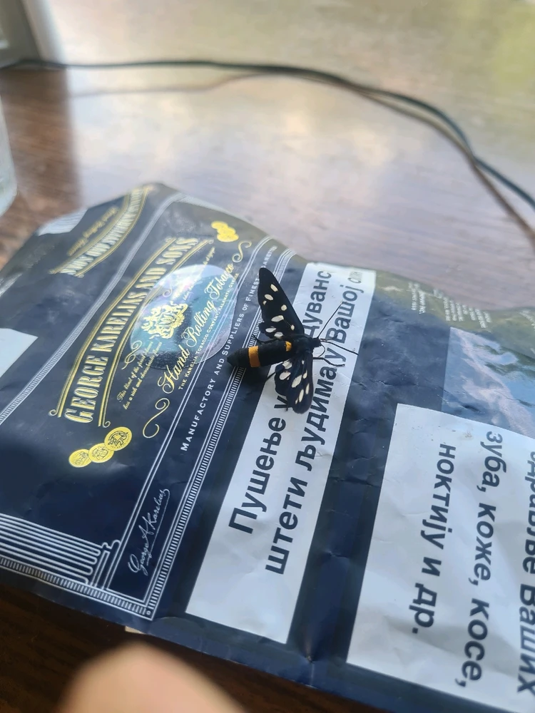 Sliku je postavio/la Zoran