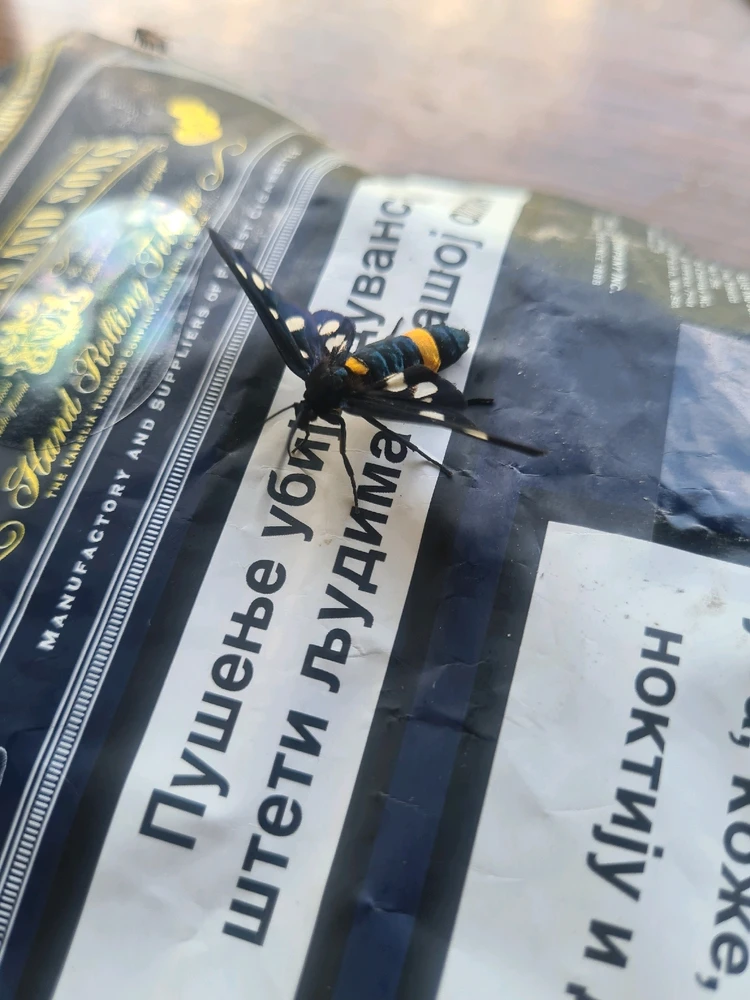 Sliku je postavio/la Zoran