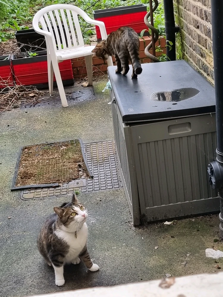 Image uploaded by Billy