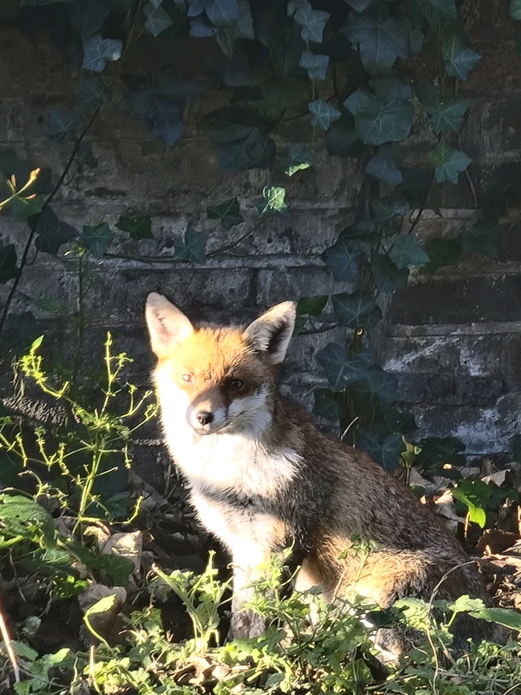 Image uploaded by Billy