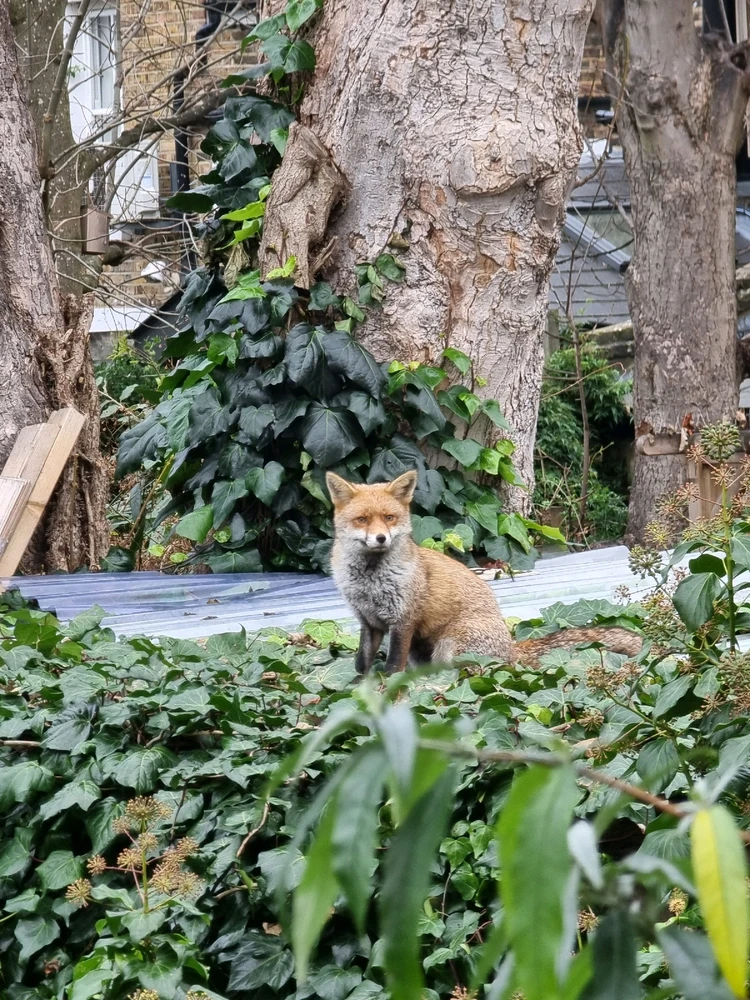 Image uploaded by Billy