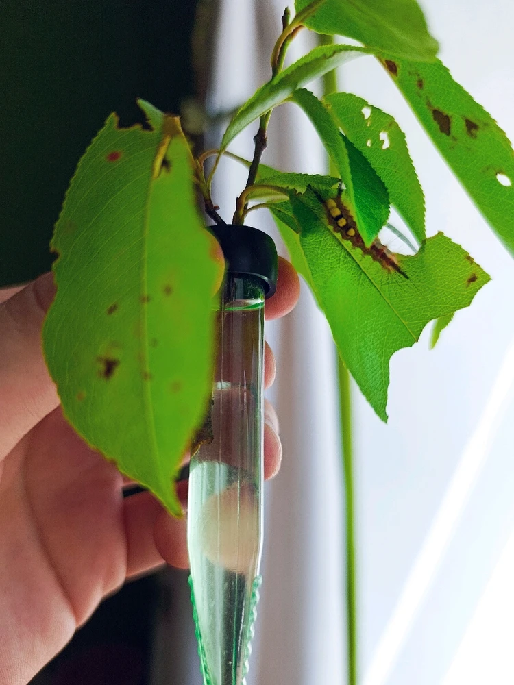 GIF dodany przez Karola