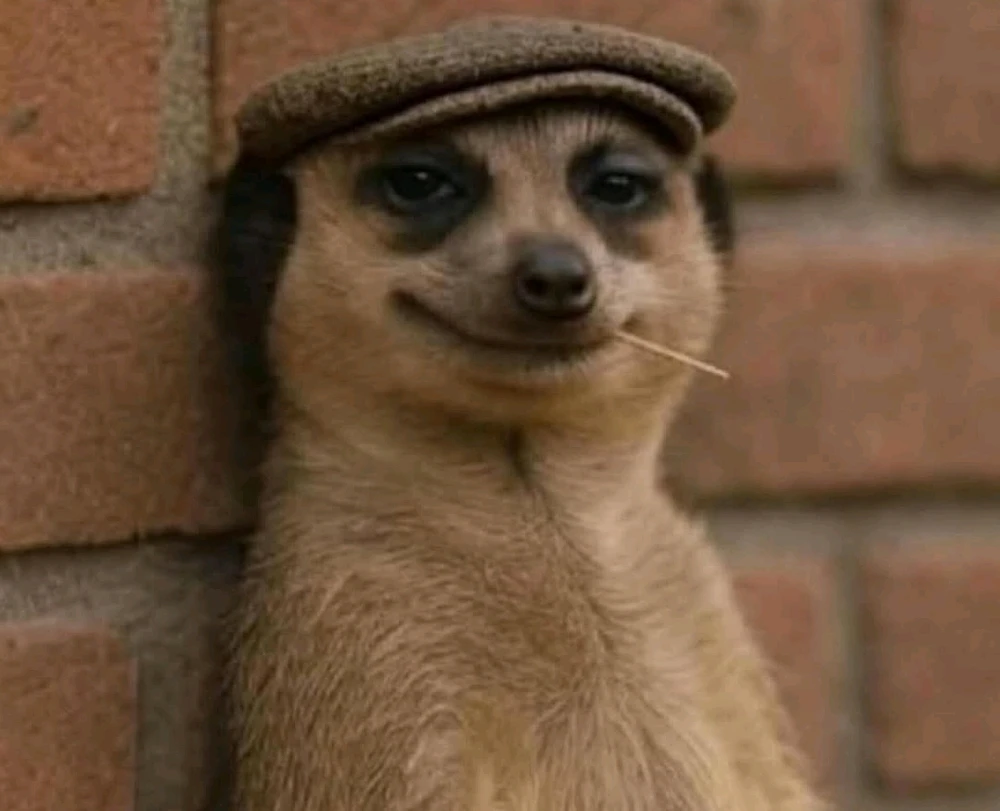 GIF uploaded by Alien pal