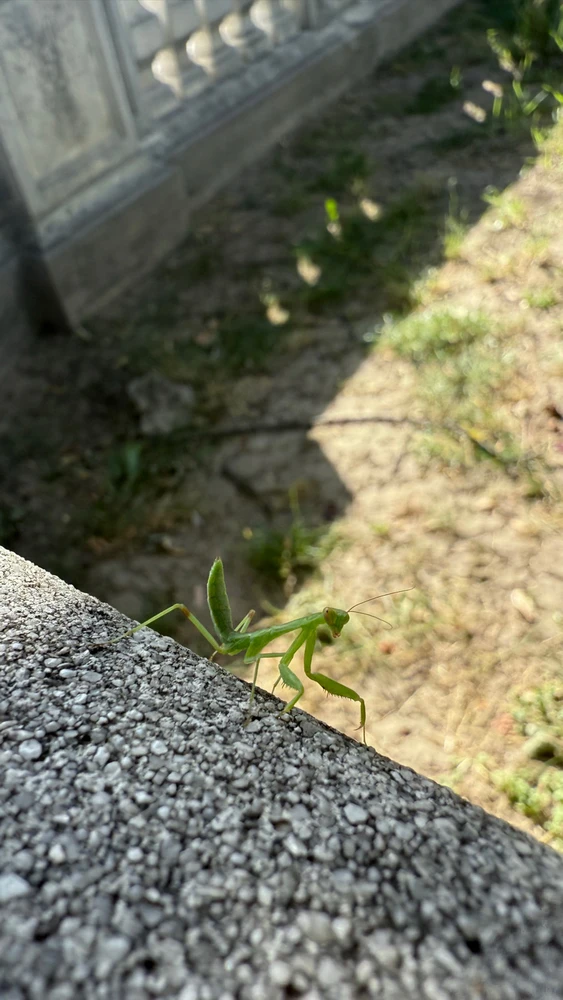 Image uploaded by Alex