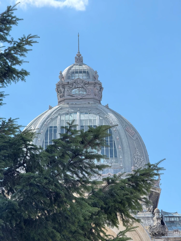 Image uploaded by Alex