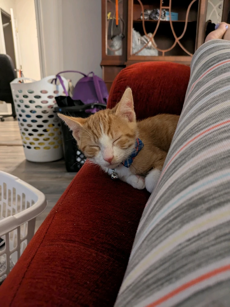 Image uploaded by Gigi 💖💜💙 🌈